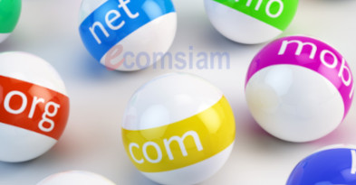 บริการจดทะเบียนชื่อโดเมนเนม (Domain name registration) ทั้งชื่อโดเมน .com .net .org .info .biz และ จดโดเมน .co.th .ac.th .in.th .or.th