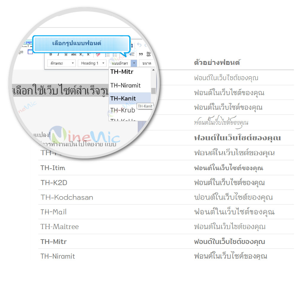 การกำหนดรูปแบบฟอนต์ภาษาไทย แนะนำโดย เว็บไซต์สำเร็จรูป NineNIC